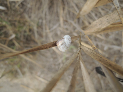 20120918 143220